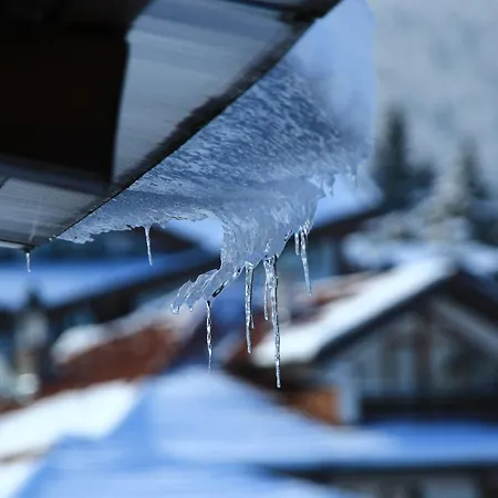 Top Lejlighed Bansko